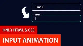 Input Animations with HTML and CSS | Input Label Animation