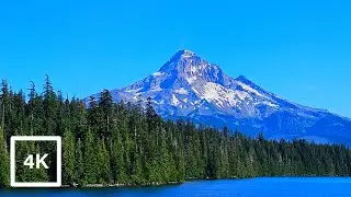 Lost Lake Loop Lakeshore Trail | Treadmill Workout & Elliptical Workout | Mount Hood National Forest