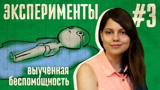 Эксперимент: Выученная беспомощность // Не думай о белой обезьяне