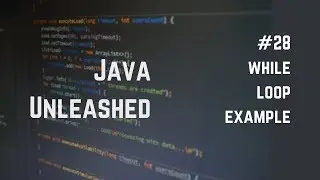 #28 Java While Loop Example