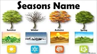 Learn Seasons Name| Season in the Year | Name of Four Seasons | Basic English Learning