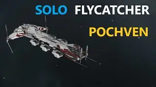 Flycatcher в Почвене + обсуждение патча Eve Online