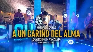 A UN CARIÑO DEL ALMA - ORLANDO LIÑAN FT IVAN ZULETA - (En Vivo)