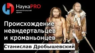 Происхождение неандертальцев и кроманьонцев – антрополог Станислав Дробышевский | Научпоп