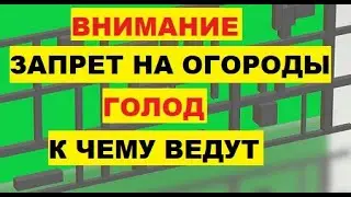 Внимание. Запрет на огороды. Голод. Огороды призвали запретить из-за вреда планете ученые из США Еда