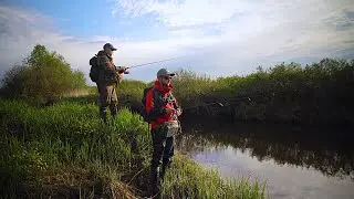 ЛОВИМ ЩУК на КРАСИВОЙ ЛЕСНОЙ РЕЧКЕ / СПИННИНГ ВЕСНОЙ