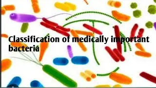 Classification of medically important bacteria