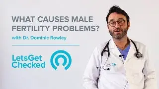 What Causes Male 