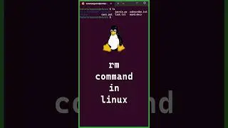 4/10 Basic Linux Commands | 'rm' command in linux 