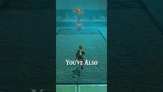 Things EVERY Zelda Player Has Done! |Botw|