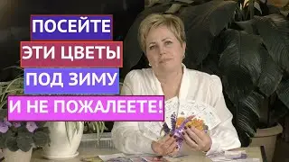 ДОЛГОЖДАННЫЙ РОЛИК: КАКИЕ ЦВЕТЫ МОЖНО ПОСЕЯТЬ ПОД ЗИМУ!