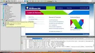 The Rough Guide to Apache NetBeans 11.0