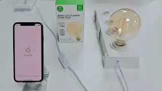 R5139 Smart E27 G95 Filament LED Bulb connection video