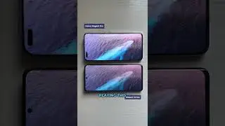 Honor Magic 5 Pro vs Xiaomi 13 Pro - Display Comparison 