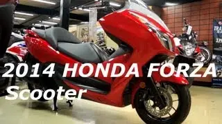 2014 HONDA FORZA 300 Scooter - Consumer Perspective