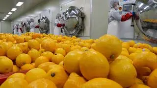 Process of Drying Whole Lemons Using Microwave Technology. Korean Lemon Powder Sticks