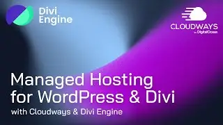 Mastering Managed Hosting: Elevating WordPress & E-commerce Sites hosted by Divi Engine & Cloudways.