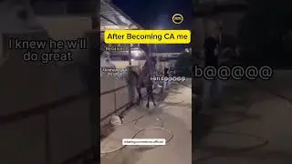 After Commerce Student Become CA #shorts #funny #viral #commerce #ca