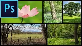 Create a Collage in Photoshop