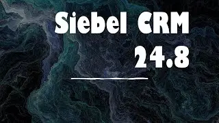 Siebel CRM 24.8 Update Summary - Free Bird