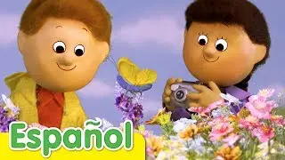 Tomemos Una Foto | Canción Infantil