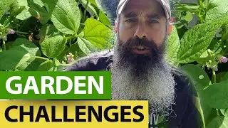 Garden Challenges In 2023 - WATER and ELECTROCULTURE