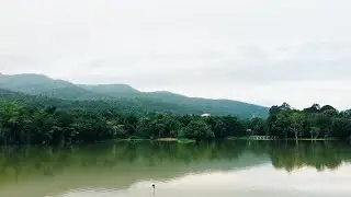 Evening Rain on a Lake | Rain Sounds on Leaves with Dark Screen for Deep Sleep, Relaxing, Study