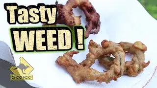 I made Onion Rings from weeds!