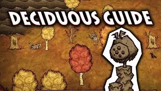 Beginner's GUIDE to the DECIDUOUS FOREST BIOME - Don't Starve Together