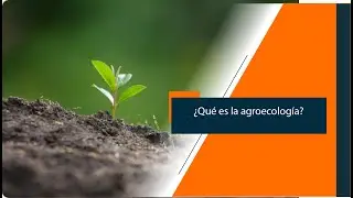 Introducción - ¿Qué es la agroecología?