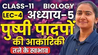 L-4, तने के स्वभाव, अध्याय-5, पुष्पी पादपों की आकारिकी | Class-11th Biology कक्षा-11 जीवविज्ञान