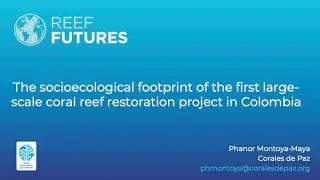 The socioecological footprint of the first large-scale coral reef restoration project in Colombia