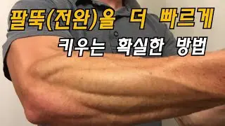 팔뚝(전완) 이 더 빨리 굵어지고 싶다면 꼭 알아야 하는 것