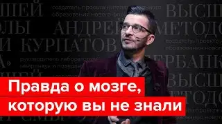 Правда о мозге для интеллектуального меньшинства