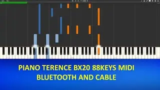 How to connect Piano Smart Terence BX20 MIDI bluetooth and cable