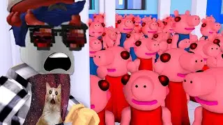 100 ПИГГИ НА ОДНОЙ КАРТЕ ЗАРАЖЕНИЕ И ПРЕДАТЕЛЬСТВО + баги piggy roblox