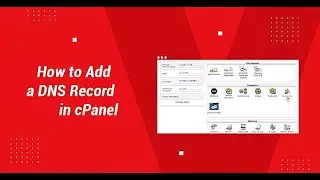 How To Update DNS Records In cPanel | 