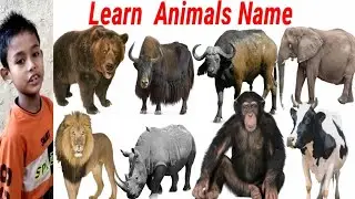 CUTE ANIMALS video Cow, Horse, Tiger, Cat || Learn Animals name | Animals Video || 