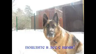 Запуск дрона в лабиринте и прогулка в лесу