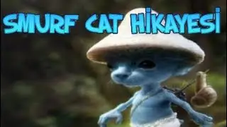 Smurf Cat'in Arkasındaki Hikaye (Bu Kedi Neyin Nesi?)