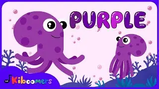 Meet the Color Purple Song - The Kiboomers Colors Songs for Preschoolers