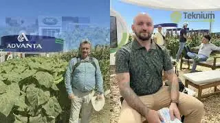 Сельско-хозяйственная выставка EXPOAGRO. Argentina. Один день на выставке.