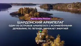 Праздничные заставки ТВ3 (12.06.2023)