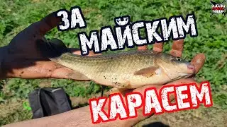 ЛОВЛЯ КАРАСЯ  на МАНКУ В МАЕ. РЫБАЛКА НА ПОПЛАВОК. Весенняя рыбалка