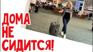 🔴Опять в аэропорту, ЗАБЫЛА ЧЕМОДАН #натальяфальконе #сша