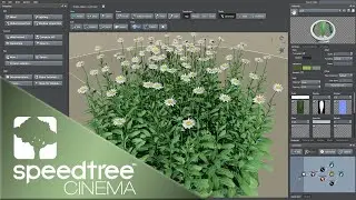 Daisy Flower | Speedtree Cinema 9 Tutorial