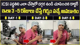 3 -5 రోజులు చేస్తే - ICSI Process Step by Step in Telugu - Dr C Suvarchala - Ziva Fertility