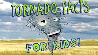 Tornado Facts for Kids!