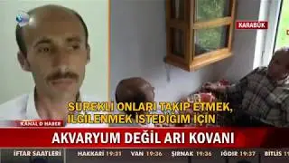 Evde Arı Kovanı Yaptı!