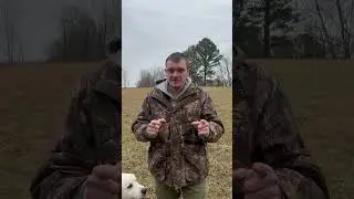 Training My Beagles with Wild Rabbit! 
